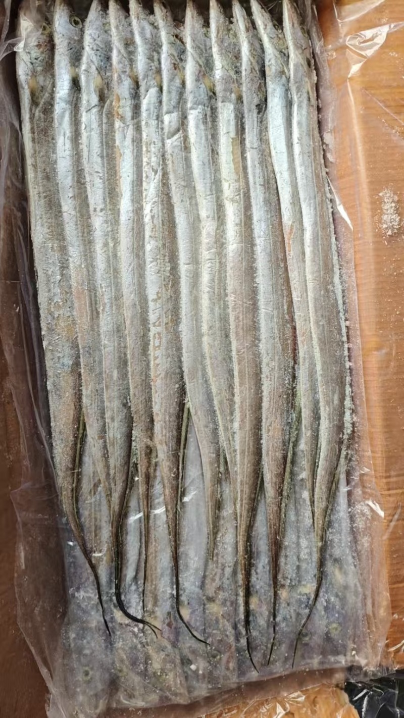 印度巴基斯坦网带，正关一手货源，原料可溯源，欢迎来电