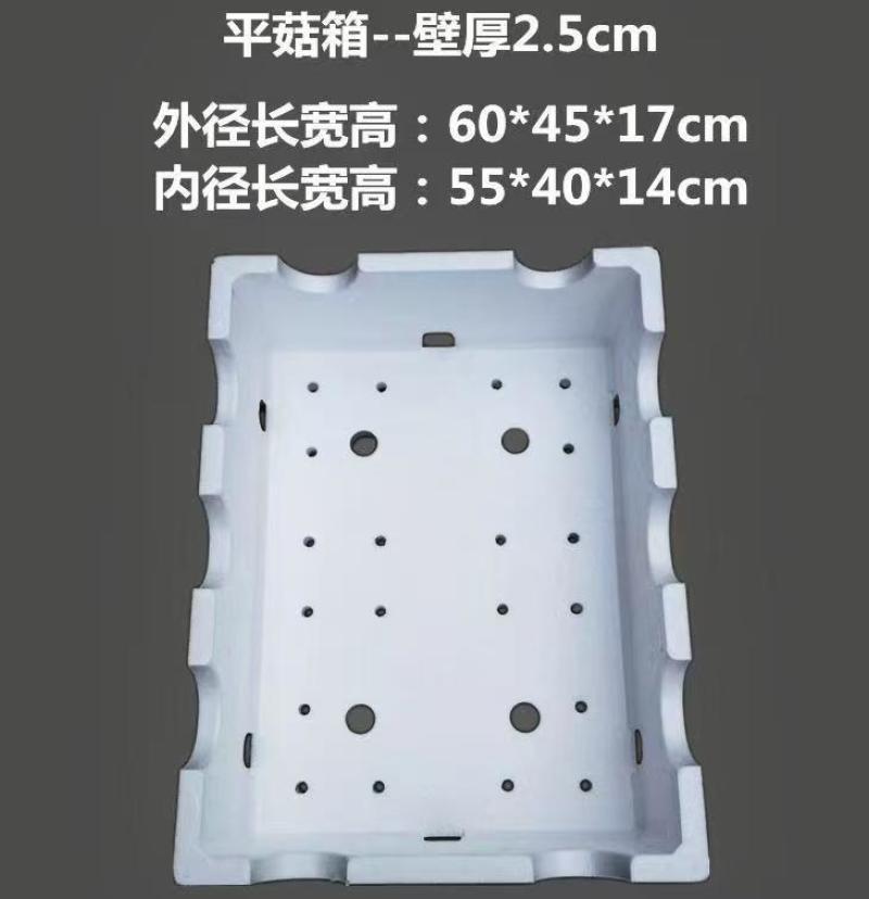 泡沫箱