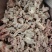 牛剔骨肉，熟牛剔骨肉块大无冰，解冻直接用
