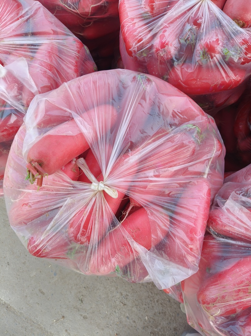 红皮水萝卜红萝卜无糠心无水印货源充足产品质量优良对接全国