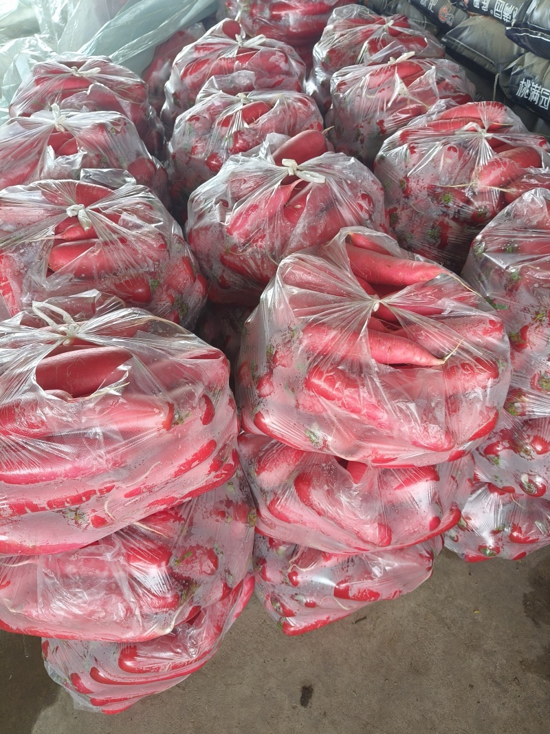 红皮水萝卜红萝卜无糠心无水印货源充足产品质量优良对接全国