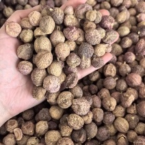 砂仁手选货正品阳春砂只卖好货品质保证价格实惠