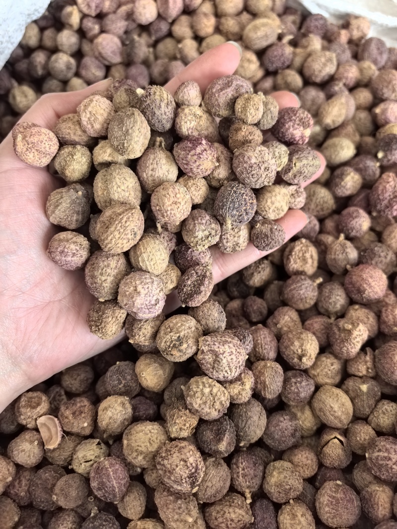 砂仁手选货正品阳春砂只卖好货品质保证价格实惠