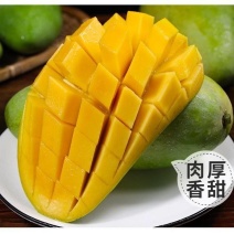 云南玉芒批发青皮大果甜多汁货源稳定支持整车