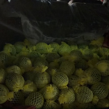 特小凤