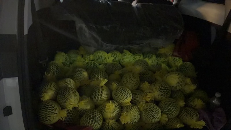 特小凤