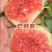 无花果苗格莱斯久留米斯特拉无花果苗芭劳奈无花果苗