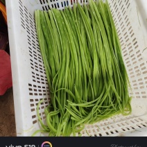 贡菜