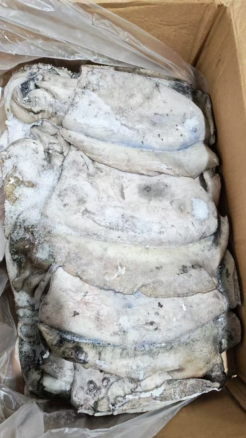 墨鱼阿曼墨鱼进口墨鱼规格齐全品质保障欢迎来电