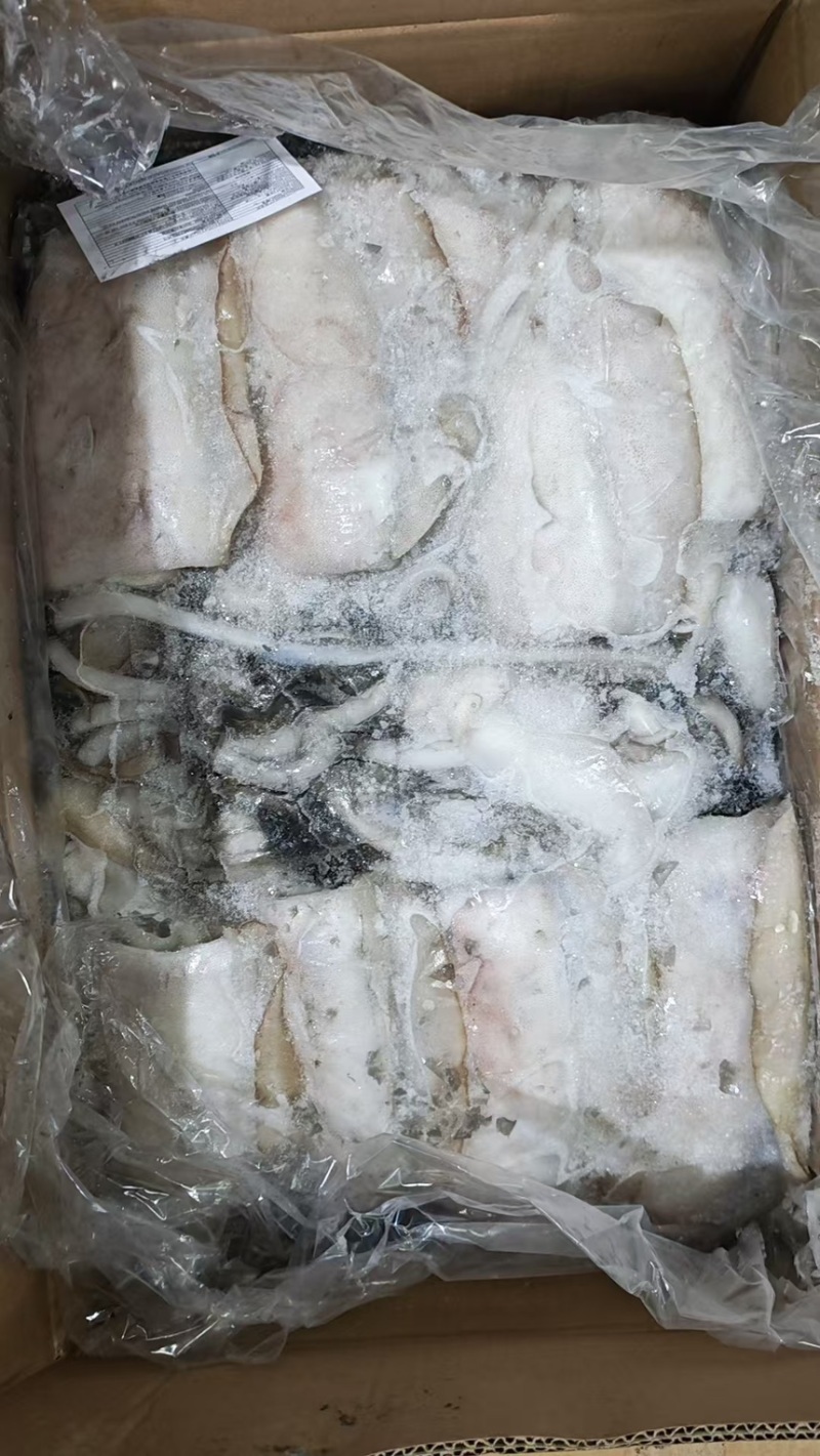 墨鱼阿曼墨鱼进口墨鱼规格齐全品质保障欢迎来电