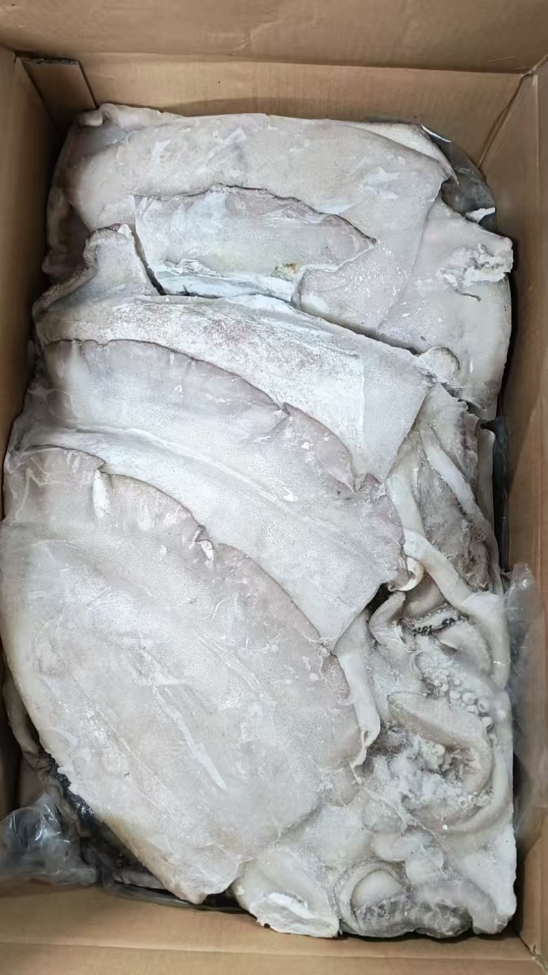 墨鱼阿曼墨鱼进口墨鱼规格齐全品质保障欢迎来电