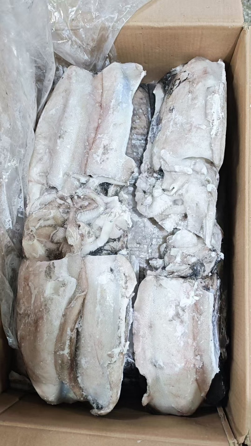 墨鱼阿曼墨鱼进口墨鱼规格齐全品质保障欢迎来电