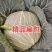精品扁包菜大量有货品质优基地直供可视频看货欢迎咨询来电