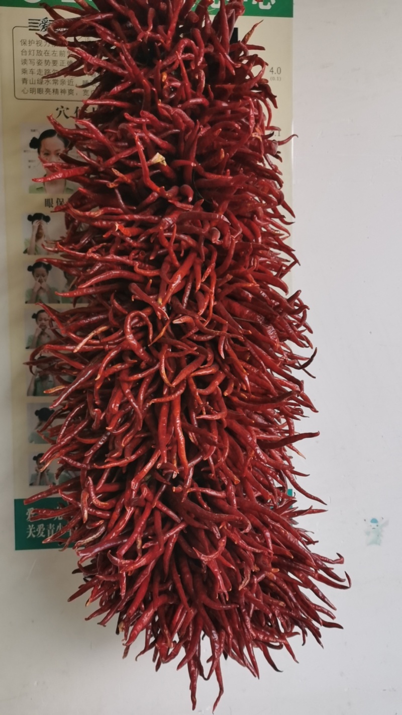 云南特色辣椒