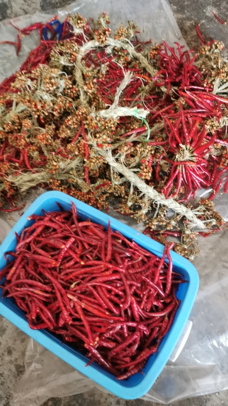 云南特色辣椒