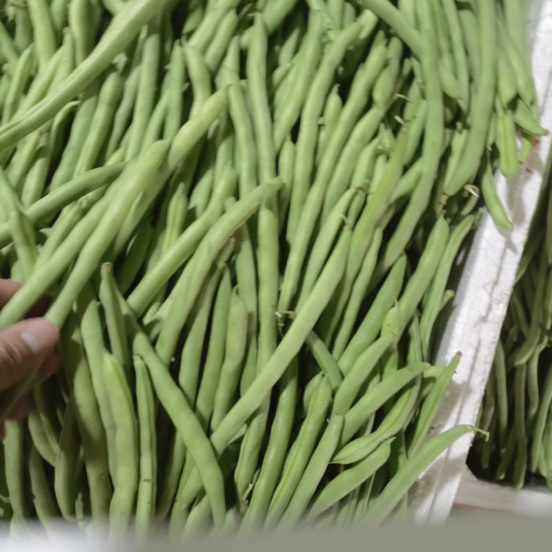 新鲜玉豆