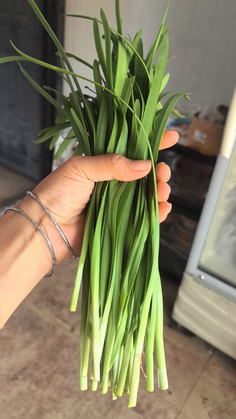源自贵州万峰林优质小叶韭菜