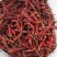 湖南本地山丘红干辣椒诚信经营欢迎咨询
