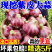 大蒜头紫皮蒜大蒜红蒜果子看货论价保质保量