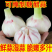 大蒜头紫皮蒜大蒜红蒜果子看货论价保质保量