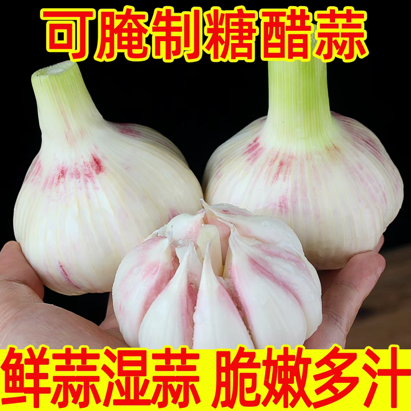 大蒜头紫皮蒜大蒜红蒜果子看货论价保质保量