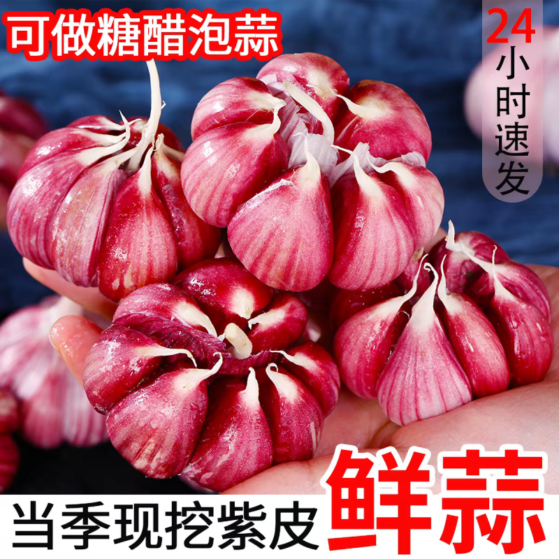 大蒜头紫皮蒜大蒜红蒜果子看货论价保质保量