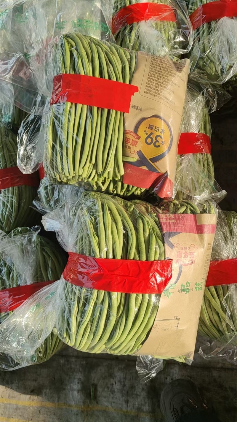 精品无丝豆芸豆，产地批发价低，品质优良色泽鲜绿，全国发货