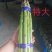 新鲜芦笋产地批发，当天现采源头芦笋基地，常年稳定供货优