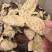 新会干仓陈皮果农皮自然干仓批发价陈皮茶老陈皮