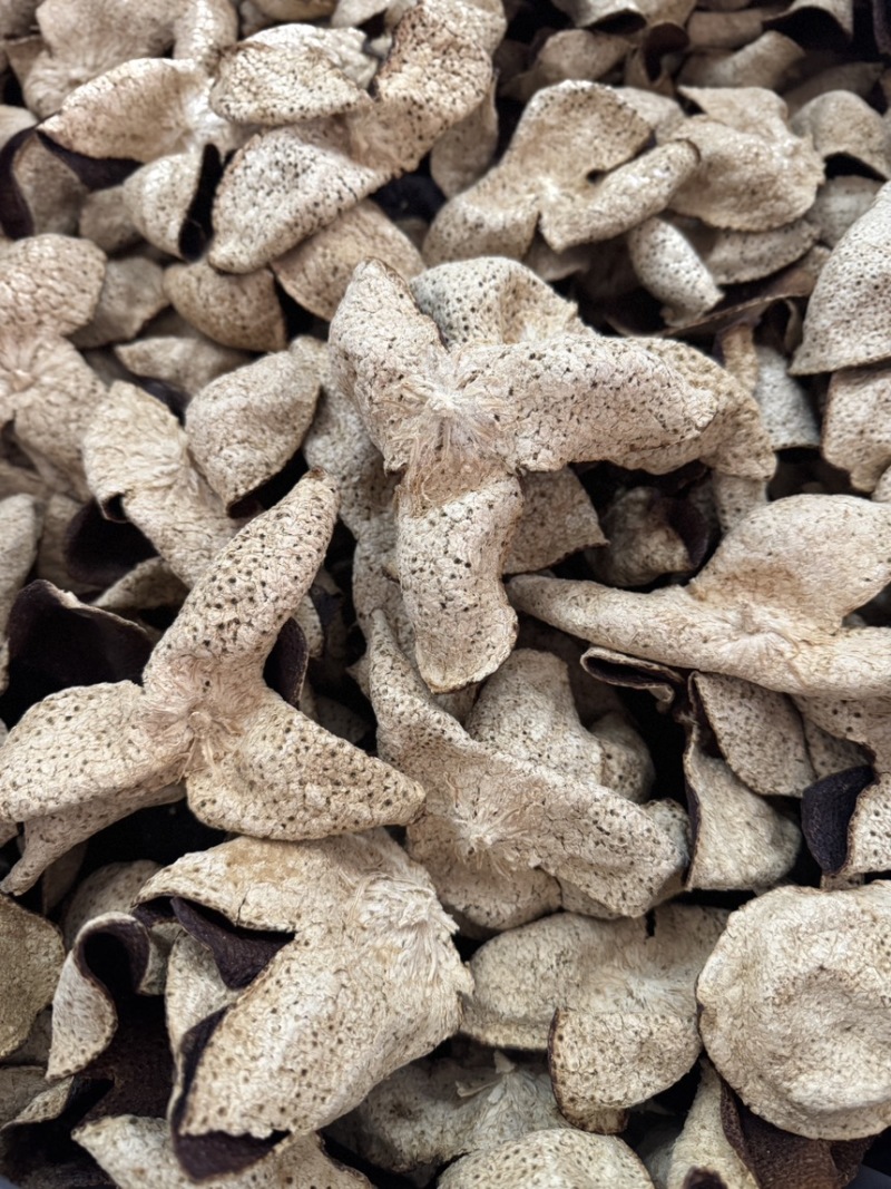 新会干仓陈皮果农皮自然干仓批发价陈皮茶老陈皮