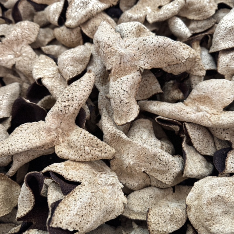 新会干仓陈皮果农皮自然干仓批发价陈皮茶老陈皮