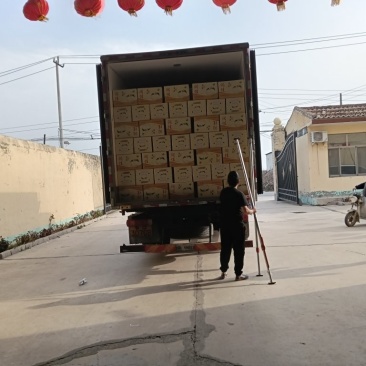 皇冠梨