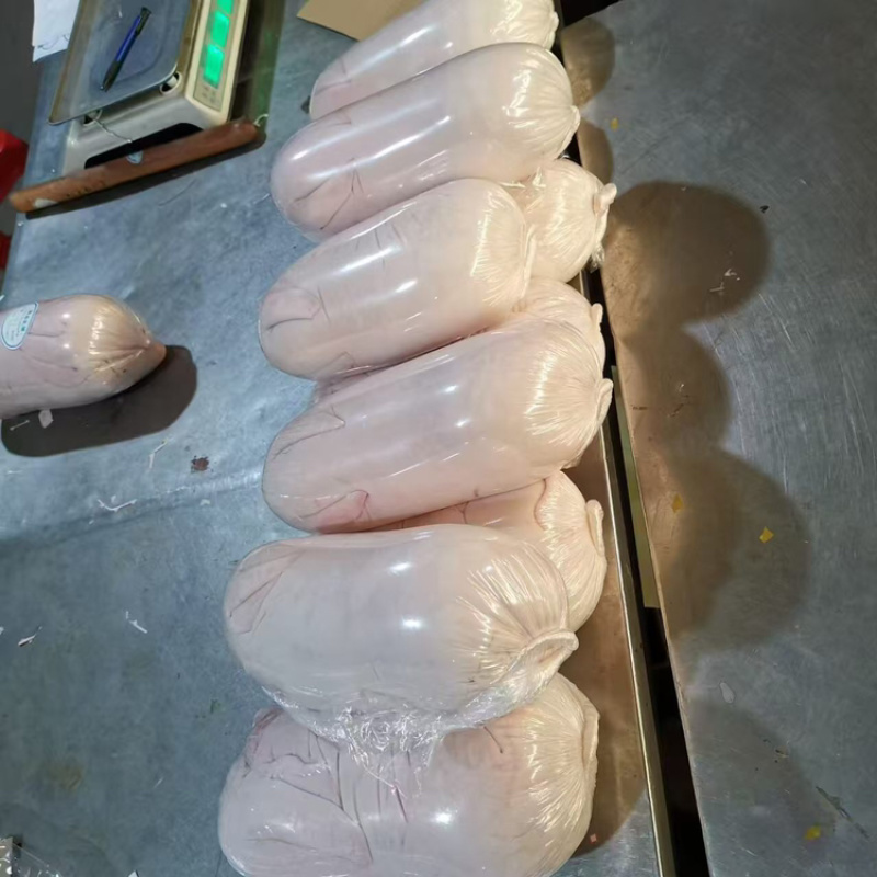 乳猪，厂家直发，大量有货，欢迎各位老板咨询采购