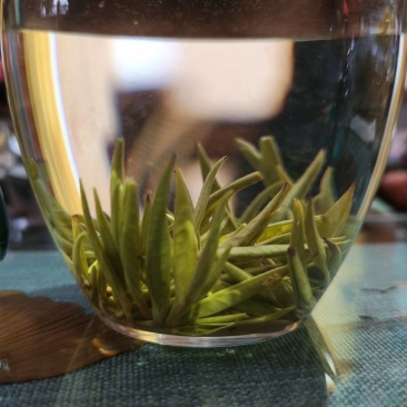 湘西黄金茶（绿茶，红茶）