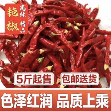 艳椒中高辣度色泽艳,肉厚味浓批量供应餐饮**