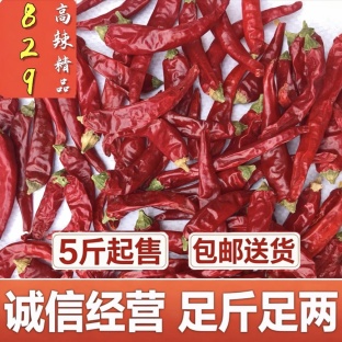 甘肃高辣829精品干辣椒 饭店专用 品质好 价格实惠包邮