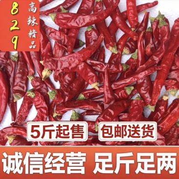 甘肃高辣829精品干辣椒饭店专用品质好价格实惠包邮