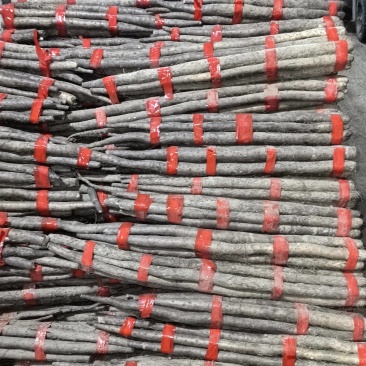 大名县白玉山药