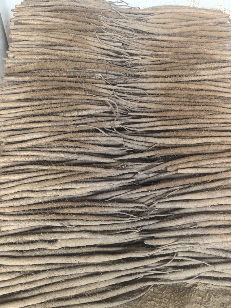 大名县白玉山药