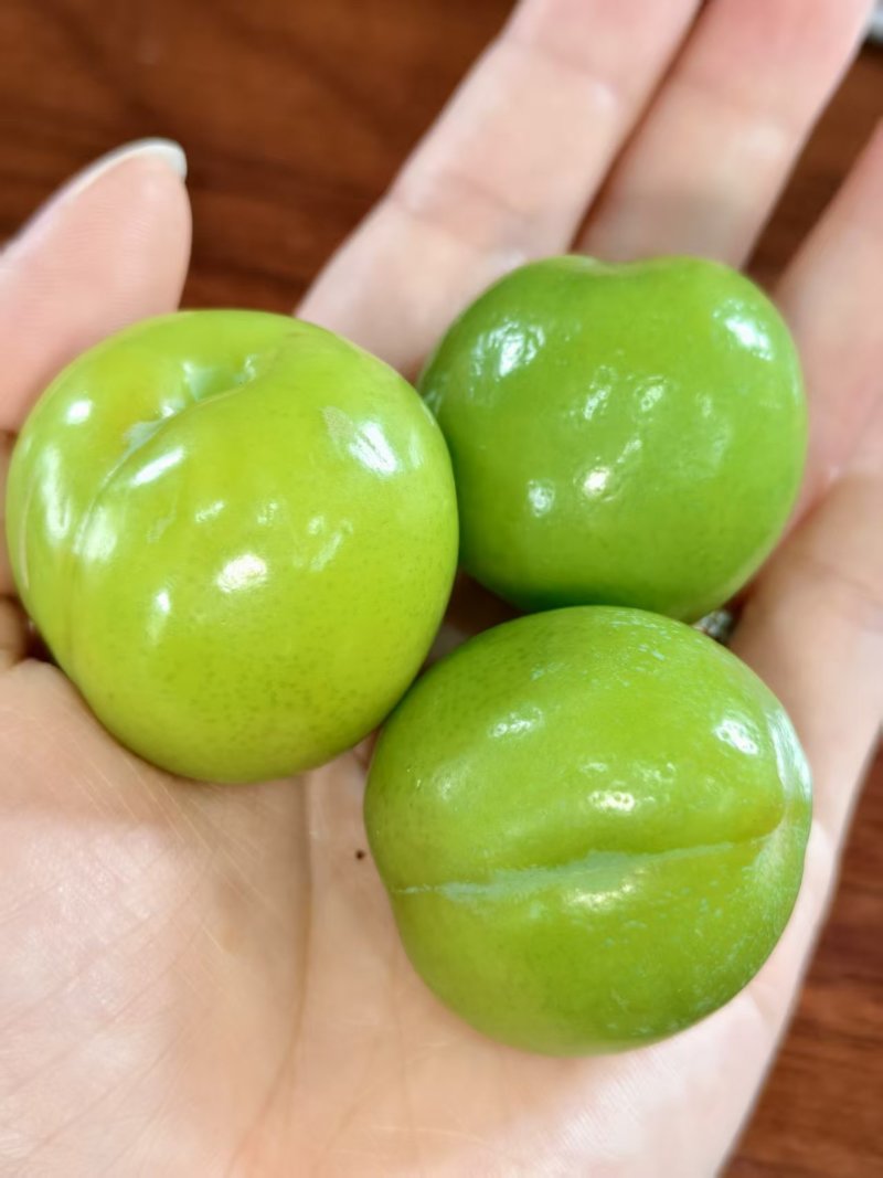 开胃爽脆三月李，专业对接电商中小果，市场大特果，量大从优