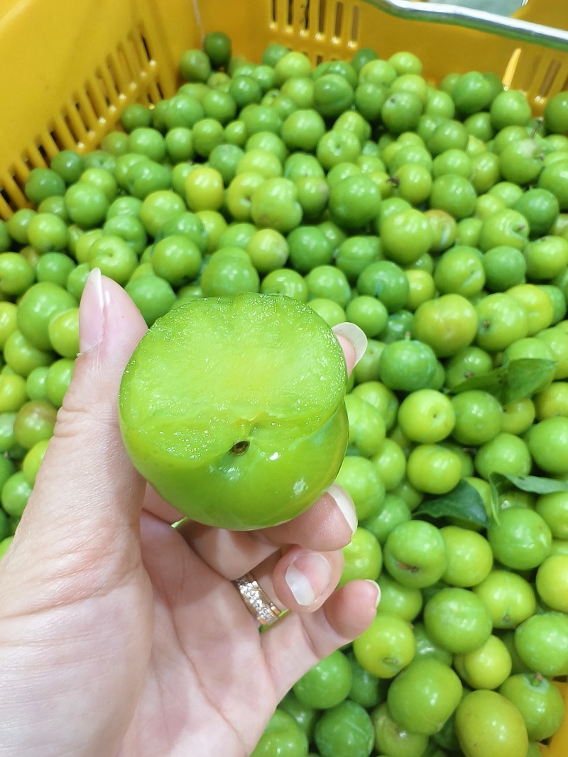 开胃爽脆三月李，专业对接电商中小果，市场大特果，量大从优