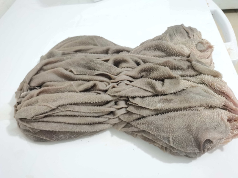 鲜新牛百叶全国可发货品质保证诚信经营欢迎联系