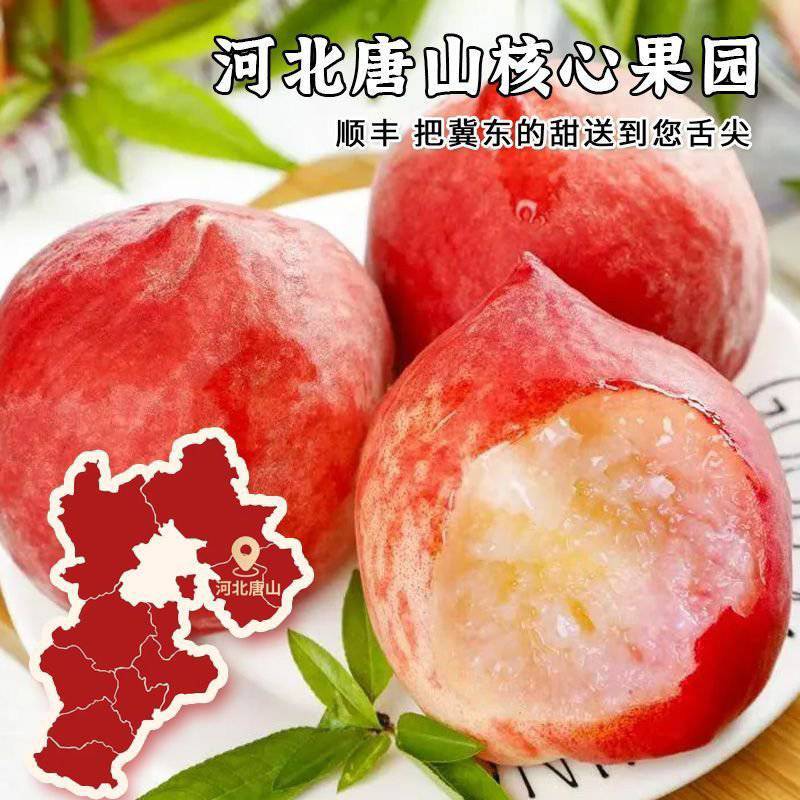 【现货现摘】正宗河北春雪水蜜桃/唐山春雪桃/新鲜现发