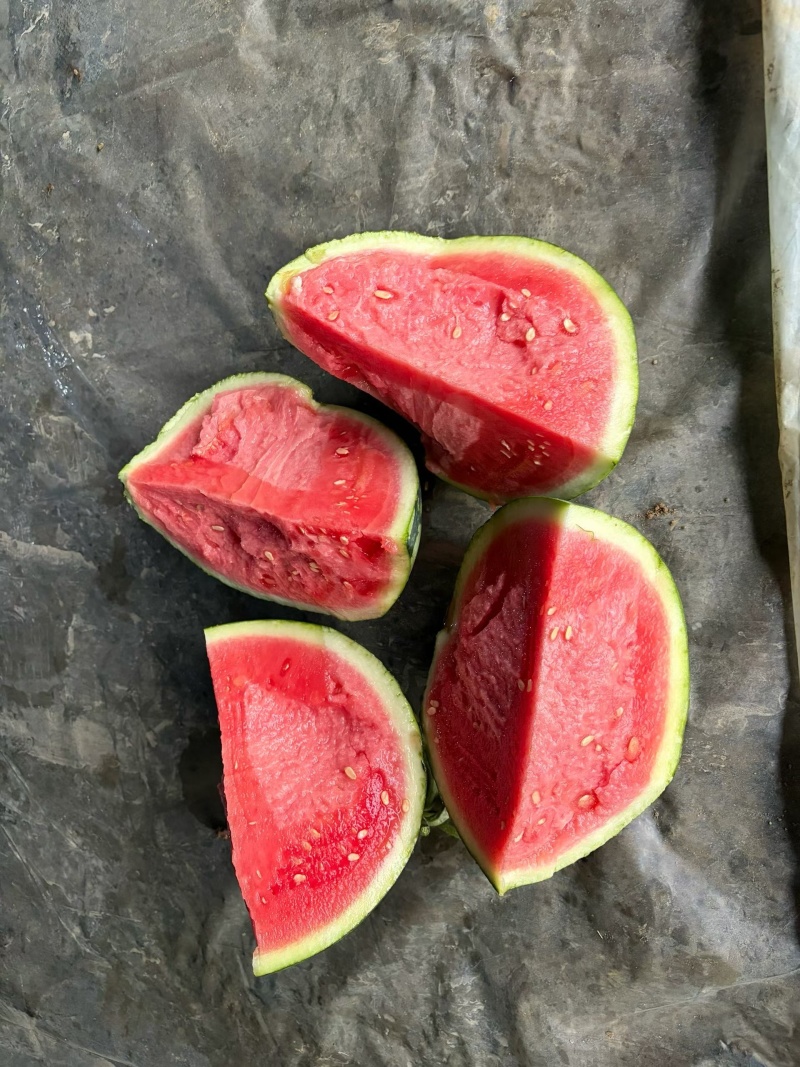 云南无籽麒麟西瓜整车发货全国各地