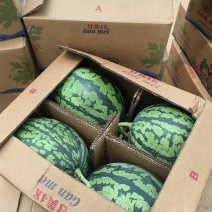 东台精品甘美4k西瓜源头产地直发全国发货