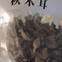 黑木耳秋耳