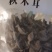 黑木耳秋耳