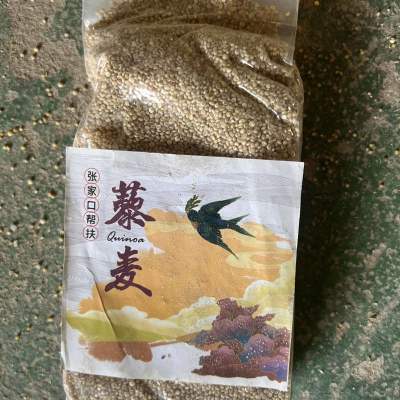 五色藜麦大量出