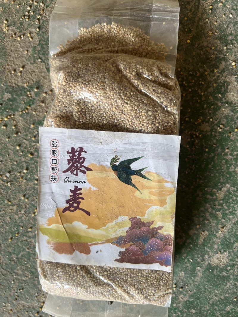 五色藜麦大量出