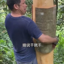 桂皮种植农户直供自然晒干品质好，实实在在做生意，欢迎合作